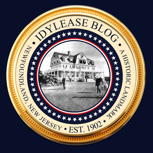 Idylease History Blog