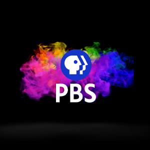 Richard Zampella Public Television